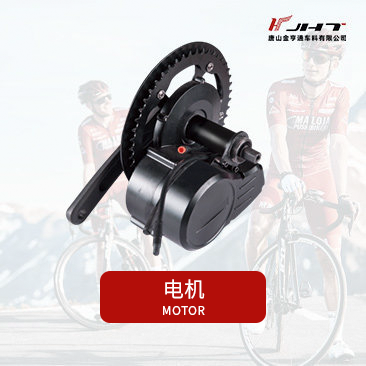电机